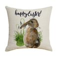 thumbnail image 1 of Funda de almohada de lino con diseño de conejito de Pascua feliz para sofá, funda de almohada para coche, 45x45cm Afortunado Sencillez, 1 of 5