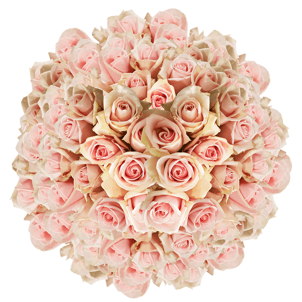 Fresh Cut Flowers Delivery Singapore / Why Consumers are ...