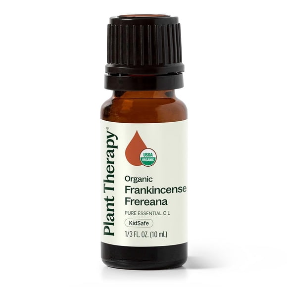 Aceite esencial Plant Therapy Organic Frankincenso Frereana, 10 ml