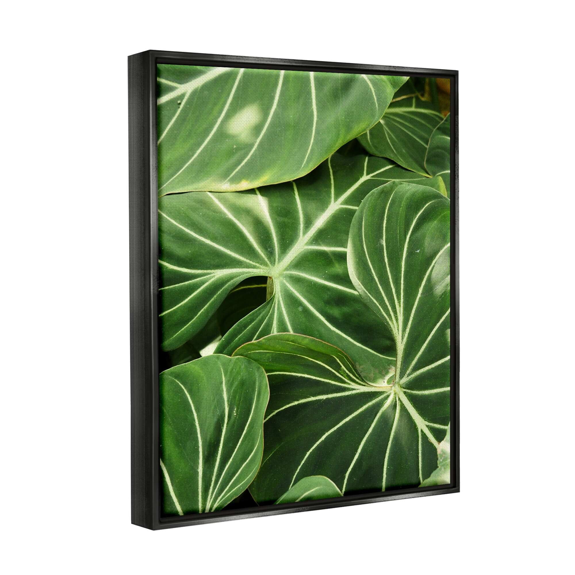 Stupell Industries Lush Green Leaves Vegetation Tropical Plant Photography Photograph Jet Black Floating Framed Canvas Print Wall Art, Design by Gail Peck