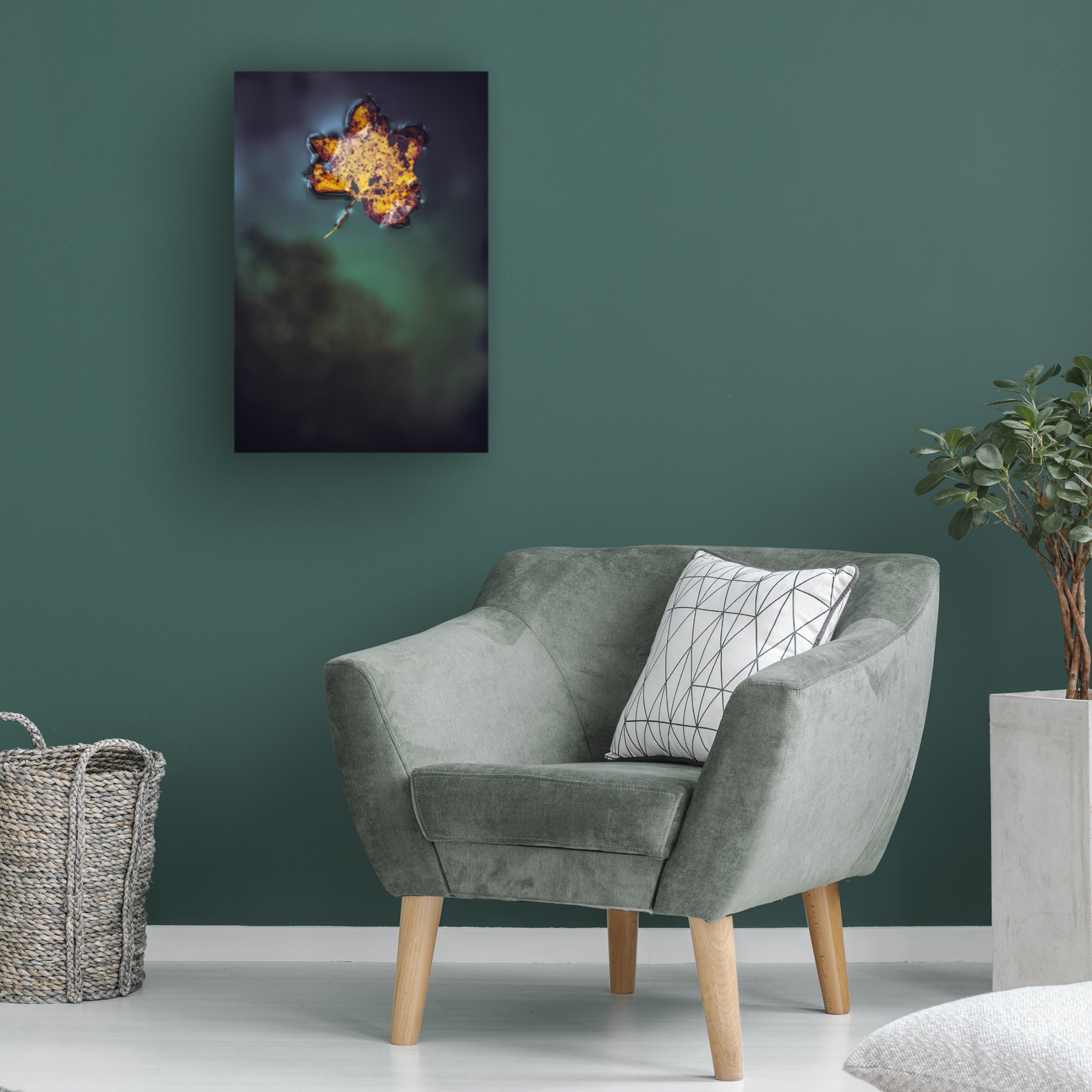 Trademark Fine Art Tim Mossholder Leaf On Water Canvas Wall Art