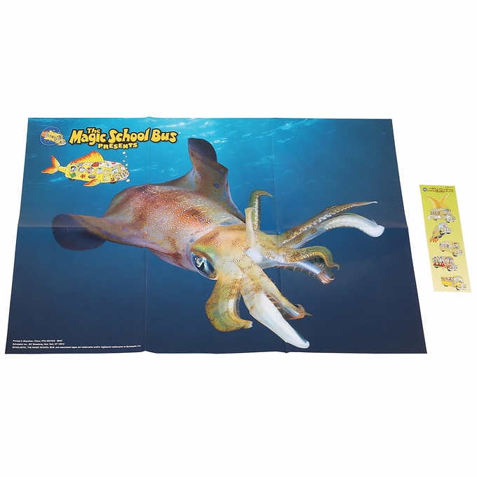 The Magic School Bus Presents 10 Book Box Set - Walmart.com