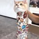 thumbnail image 3 of Cats Grooming Wrap Self-Adherent Scratch Escape Calming Wrap For Nail Clipping- Multifunctional Pet Tool, 3 of 9