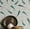 Teal Blue (Plain Vinyl), variant on S4Sassy Peel & Stick Vinyl Wallpaper, Koi Fish Wall Paper Contact Paper Waterproof - Blue, 25"x60", Removable Asian Style Covering for Home Decor in Bedrooms & Living Areas, Renter Spaces, Cabinets