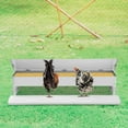 thumbnail image 4 of 10kg (22lbs) Automatic Chicken Feeder – Silver Galvanized Sheet, 38.58x6.3x13.78in – for Chickens/Ducks/Geese, 4 of 16
