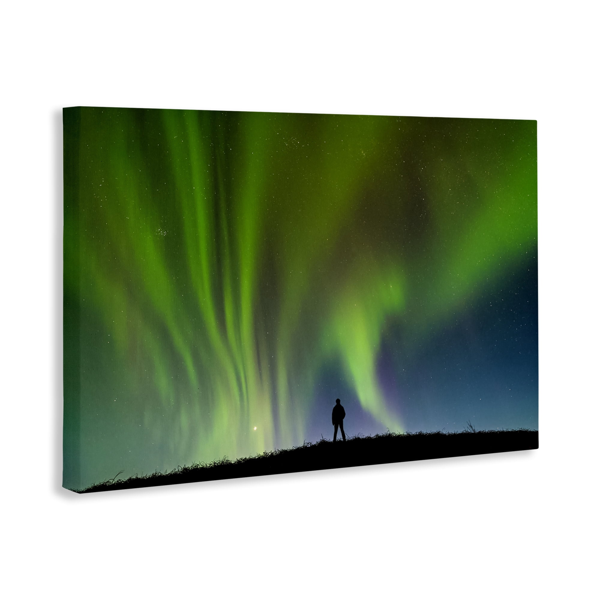 Stupell Industries Envelop Northern Lights Silhouette Canvas Wall Art, design by Shelley Carlisle