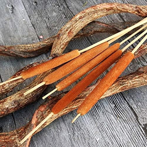 40 Pcs Dried Natural Cattails Jumbo Dried Flowers for Floral Arrangement Wedding Home Decoration$$Home Decor, Kitchen, & Other