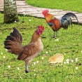 thumbnail image 4 of MasteelfCA Garden Lifelike Chicken Stake Set Rooster Hen Chick Yard Decor, 4 of 8