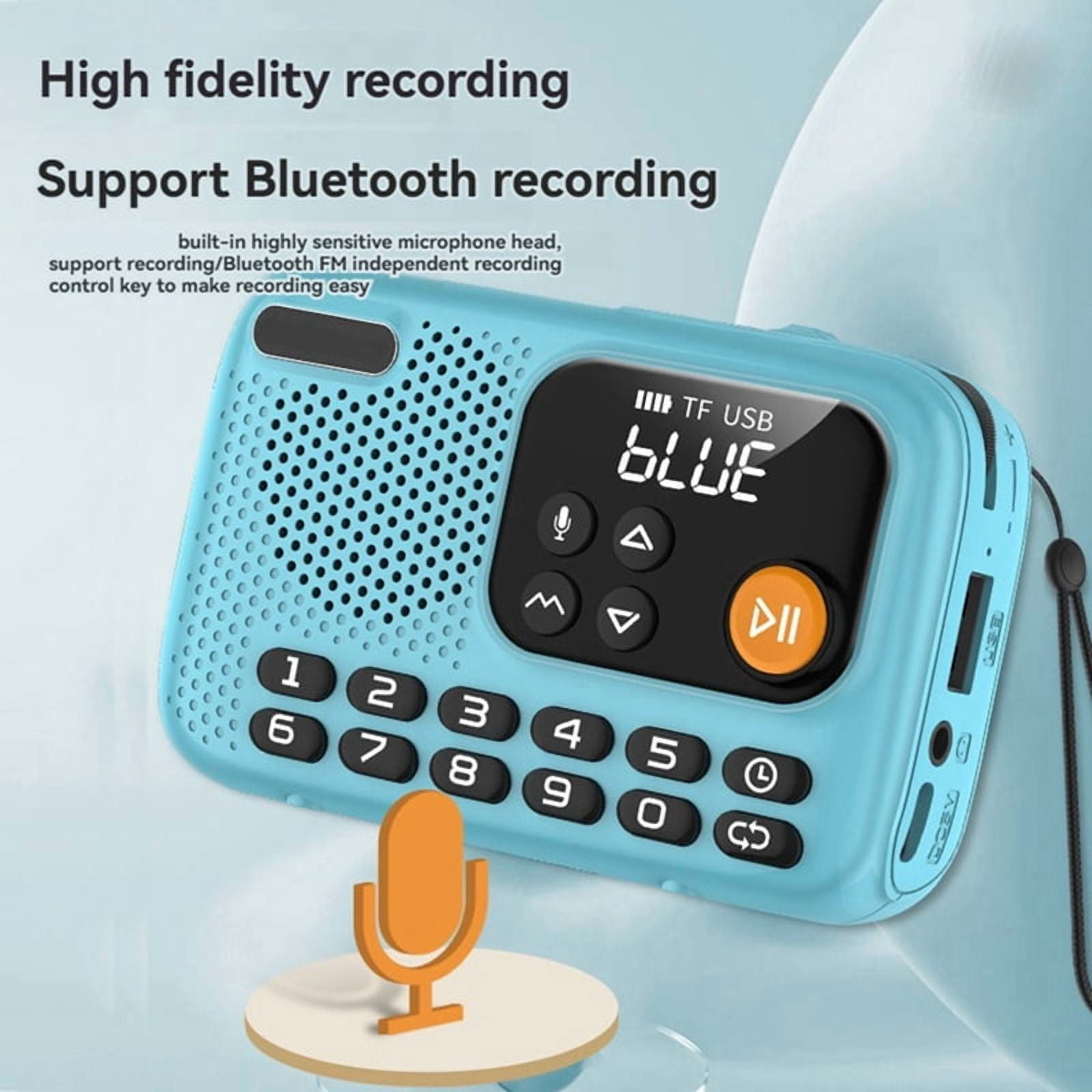 Portable FM Radio Wireless Bluetooth Speaker Recorder with LED Screen Support TF Card U Disk for Home Outdoor A