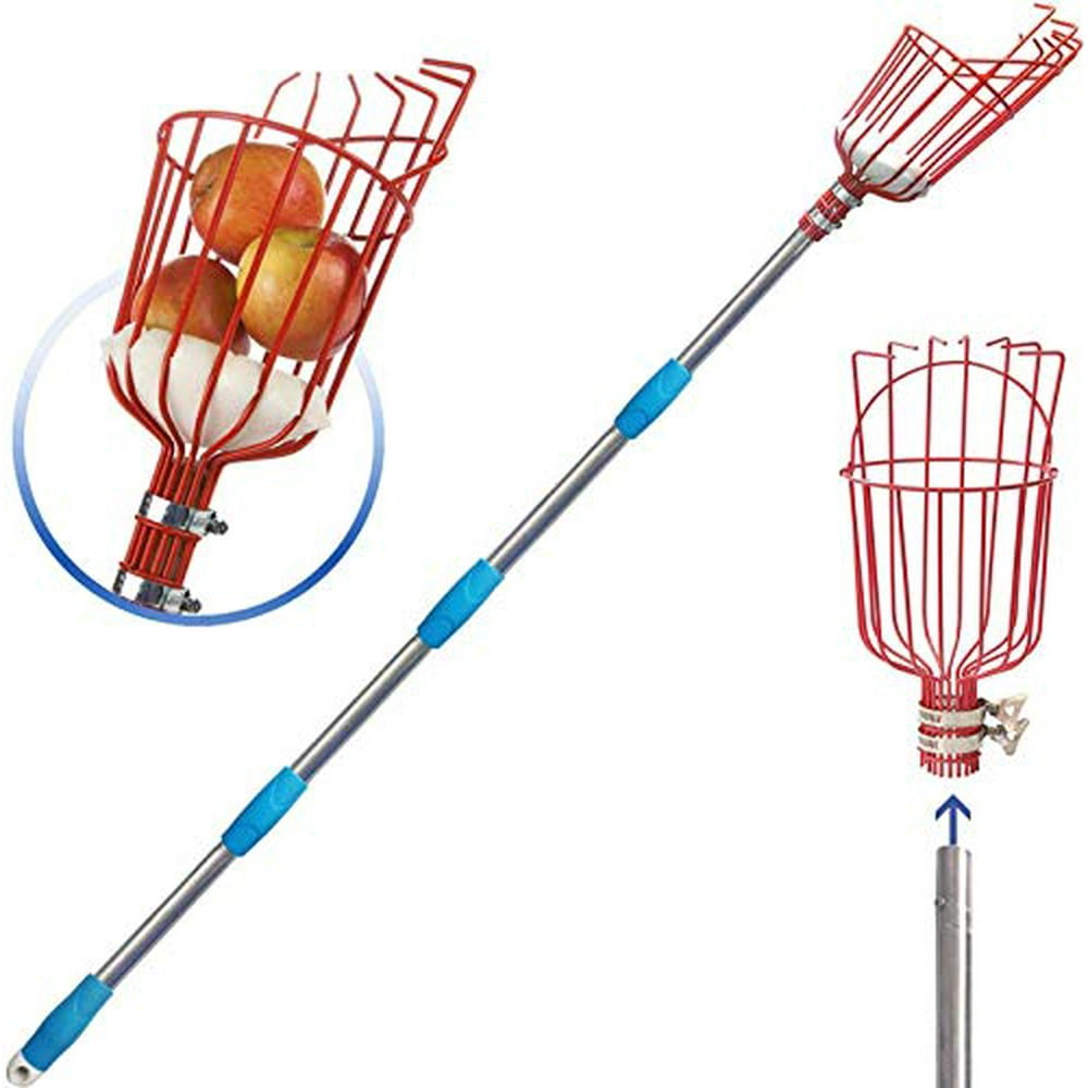 COCONUT Fruit Picker Tool, Fruit Picker Pole with Basket Height