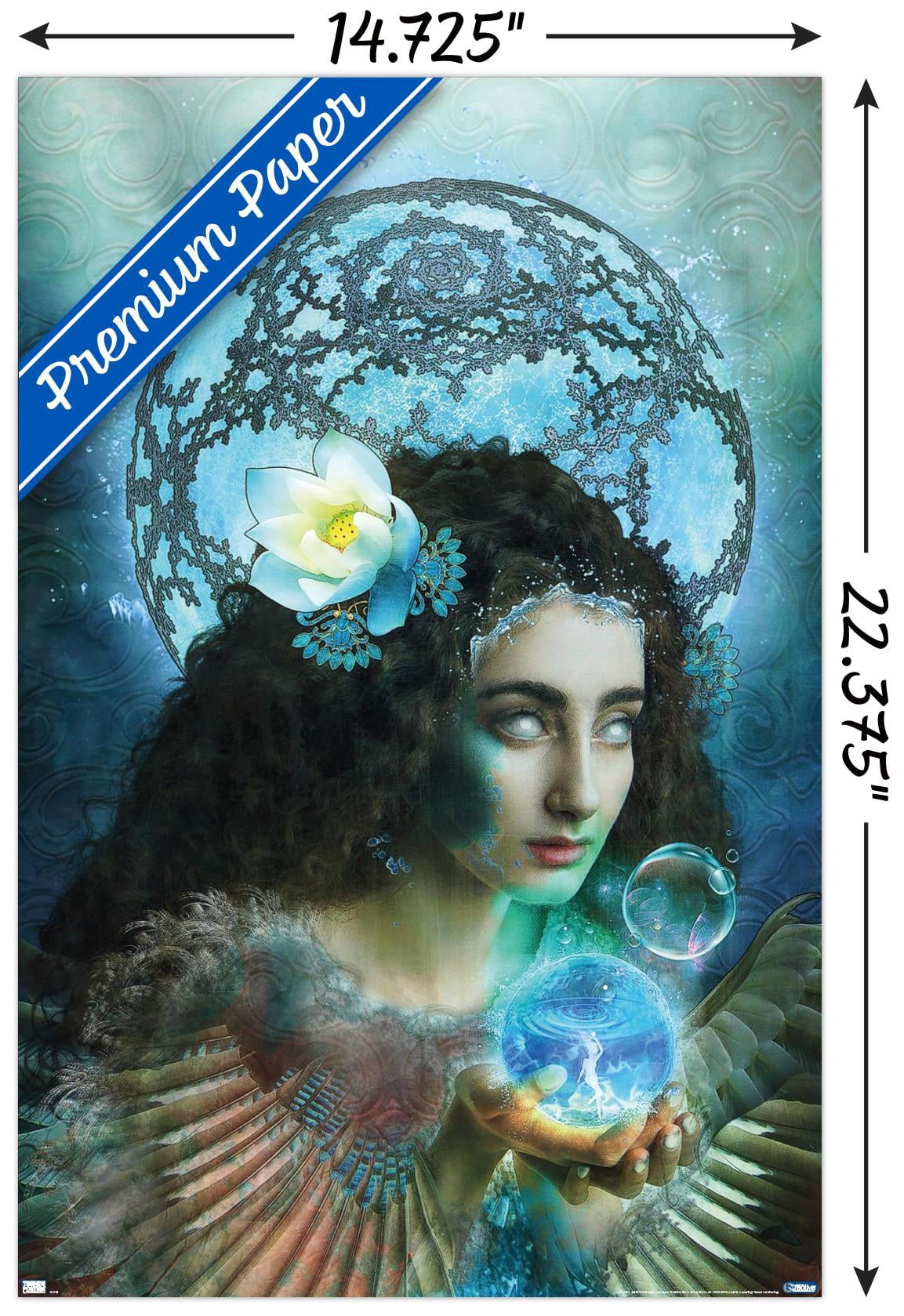 Jena DellaGrottaglia: Cosmic Zodiac - Aquarius Wall Poster, 14.725" x 22.375"