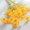 Yellow, variant on Getwin,Fake Cosmos Flower Stem,5 Branch Simulation Daisy Cosmos,Small Cosmos Simulation Flower, Delicate Shape, Great for Shooting Props, Indoor Floral Matching and Daily Scene Decoration