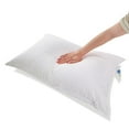 thumbnail image 3 of Royal Elite Firm Small White Feather Pillow, 3 of 5