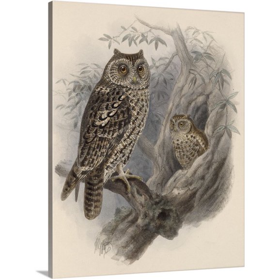 Great BIG Canvas Vintage Apple Collection Premium Thick-Wrap Canvas entitled Tree Owls 1902