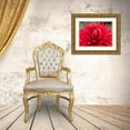 thumbnail image 3 of Frank, Assaf 14x12 Gold Ornate Wood Framed with Double Matting Museum Art Print Titled - Dahlia Flowers, 3 of 4