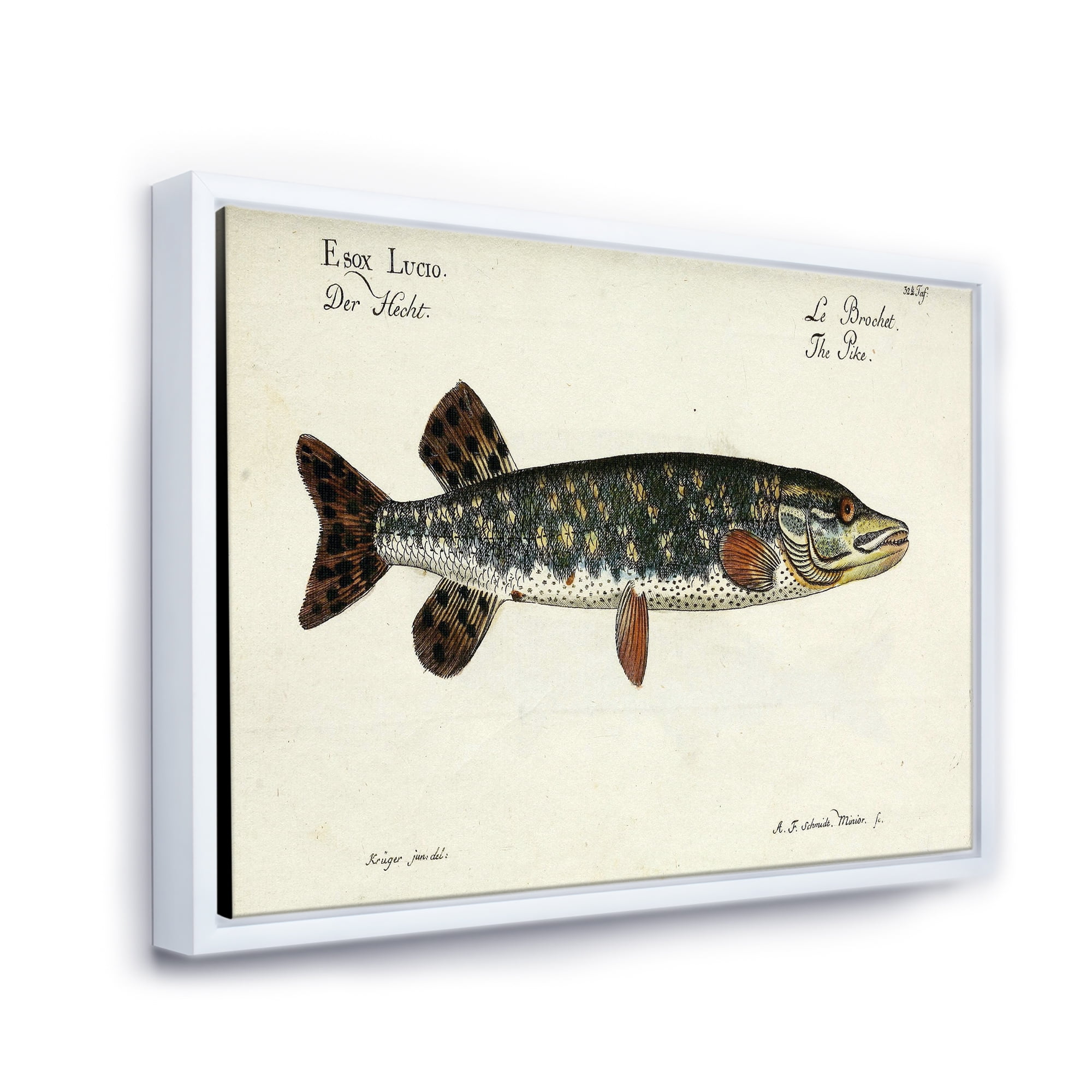 Designart 'Portrait Of A Green Fish On Beige' Nautical & Coastal Framed Canvas Wall Art Print