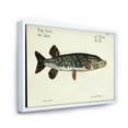 thumbnail image 3 of Portrait Of A Green Fish On Beige 32 in x 24 in Framed Painting Canvas Art Print, by Designart, 3 of 5