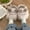 Khaki, variant on Cameland Soft Cute Cute Quirky Elfs Cotton Slippers Plush Shoes Women's Winter Home Indoor Warm Thick-soled Cotton Slippers Non-slip Warm Thick-soled Plush Shoes