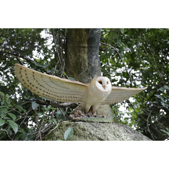Owl Statue, Barn Owl Flying Garden Statue,Garden Decoration, Home Decor, Indoor/Outdoor
