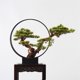 thumbnail image 4 of Árbol de bonsái artificial, decoración de plantas falsas Zen, plantas artificiales en macetas, planta de bonsái de pino for decoración del hogar, exhibición de escritorio, 4 of 5