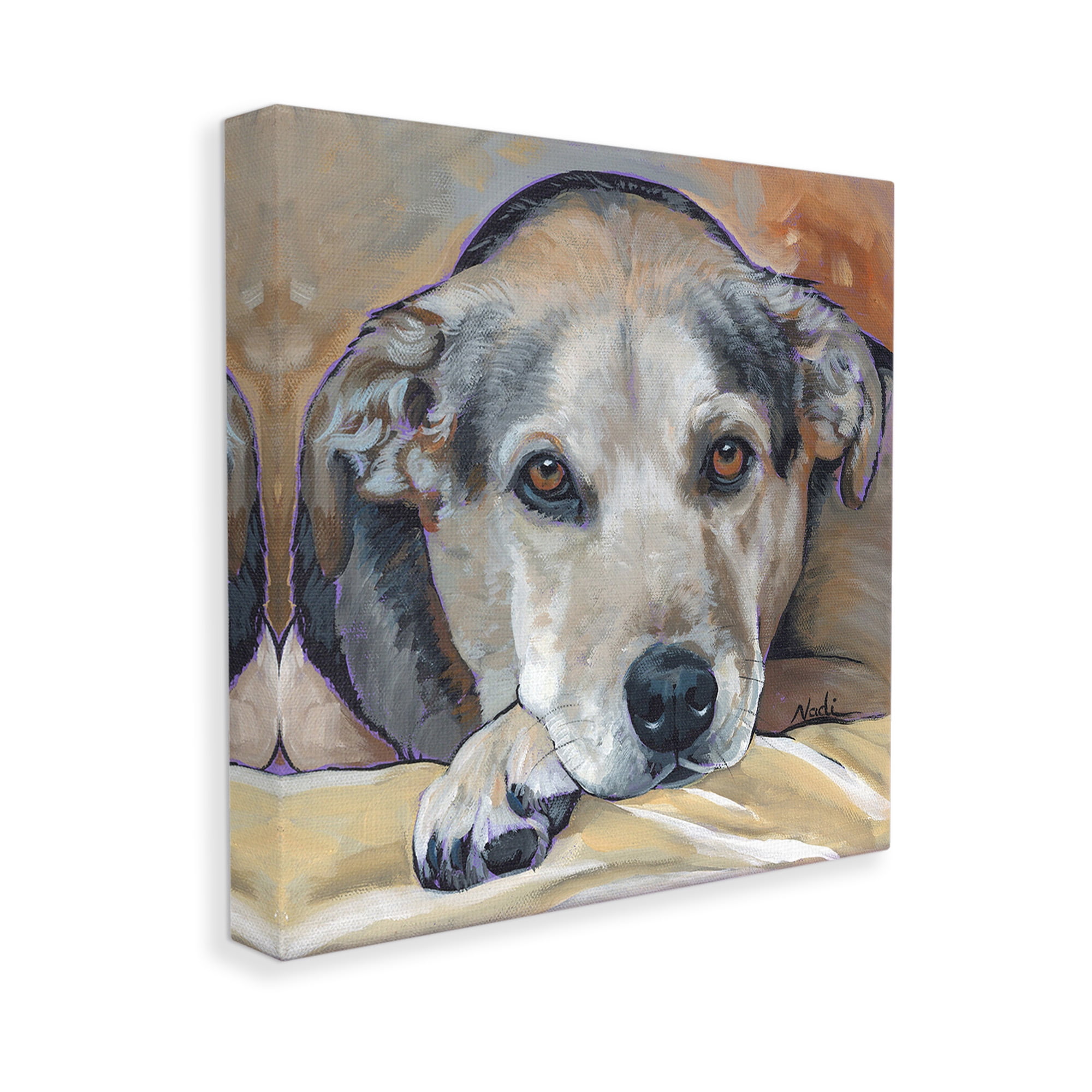 Stupell Industries Cozy Dog Portrait Animals & Insects Painting Gallery Wrapped Canvas Art Print Wall Art, 36 x 36