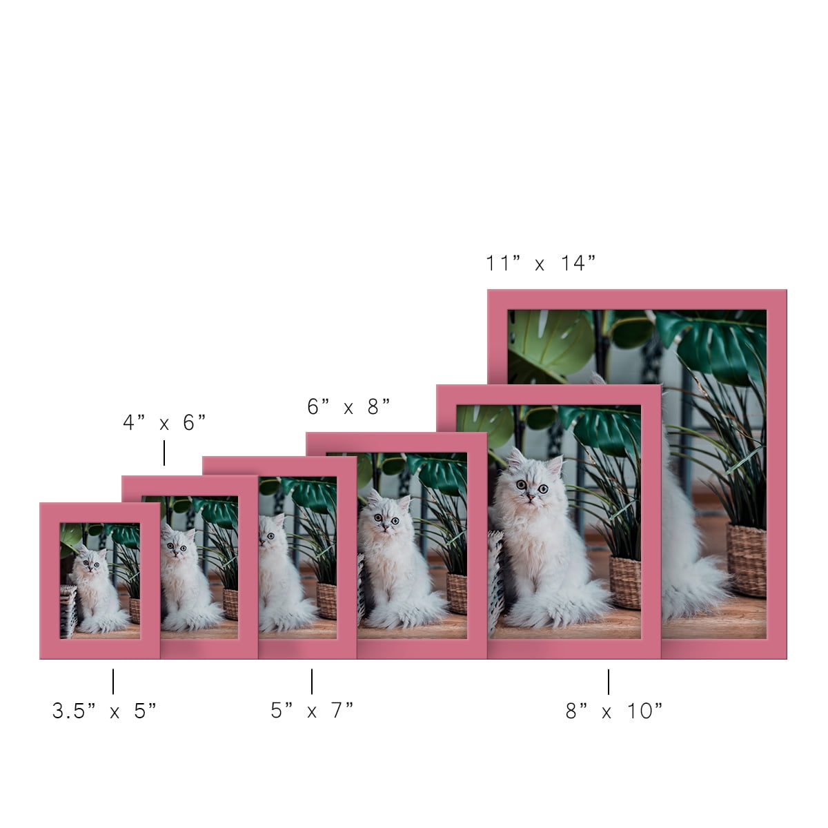 Modern 6 in. x 8 in. Hot Pink Picture Frame (Set of 4)
