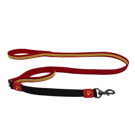 DOCO Solar Shock Absorbing Reflective Mesh Bungee Leash with Double, Traffic Handle for Walking and Training of Small, Medium and Large Dogs