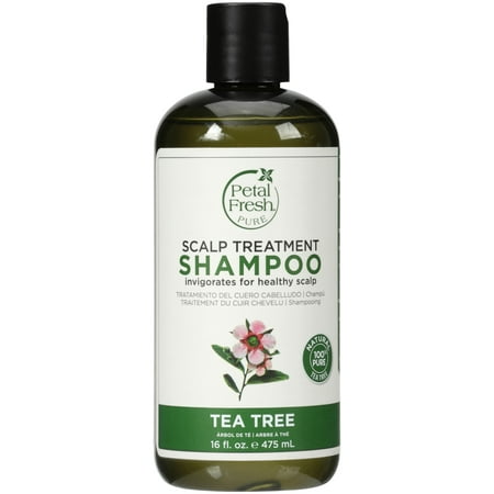 Petal Fresh® Pure Scalp Treatment Tea Tree Shampoo 16 fl. oz. (Best Product For Dry Scalp For Black Hair)