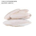 thumbnail image 1 of 1 bag Cuttlebone Cuttlefish Bone Sepia Cuttle Fish Calcium Pickstone Bird, 1 of 4