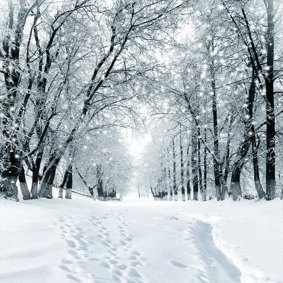10X10ft Winter Snow Tree Photography Backdrop Vinyl Photo Background Studio Prop 9207