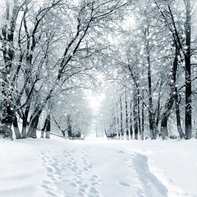 10X10ft Winter Snow Tree Photography Backdrop Vinyl Photo Background Studio Prop 9207