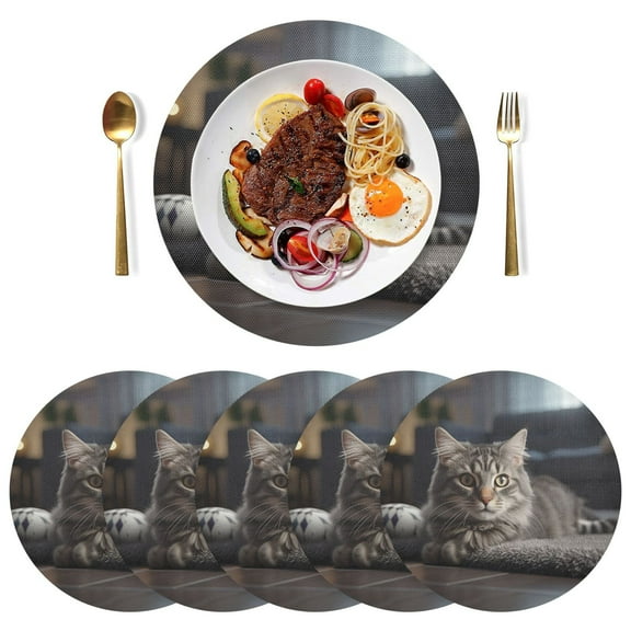 Cat Floor Sofar Black Round Placemats Plate Mats 15 Inch Non-Slip Heat Resistant Washable PVC Set Indoor for Kitchen Dining Table 1PC