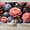 Color 3, variant on Wallpaper Pink Peony Flowers Delicate Petals Romantic Floral Aesthetic Peel and Stick Wall Murals 69"H x 96"W Removable PVC Wall Paper Self-Adhesive Wall Paintings Art Decor for Bedroom Living Room
