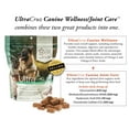 thumbnail image 4 of UltraCruz® Canine Wellness/Joint Care, 120 count, 4 of 5