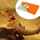 thumbnail image 5 of Cama para dormir de reptil jinwen Saco de Dormir Dragón con Almohada y Manta Gecko Beige y naranja, 5 of 6