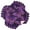 Glowing Purple Butterfly, variant on 6PCS Dish Towels and Dish Cloths Reuseable Dishcloths Sets for Washing Dishes, Cooking, Baking Size 11" x 11" Fox Skull