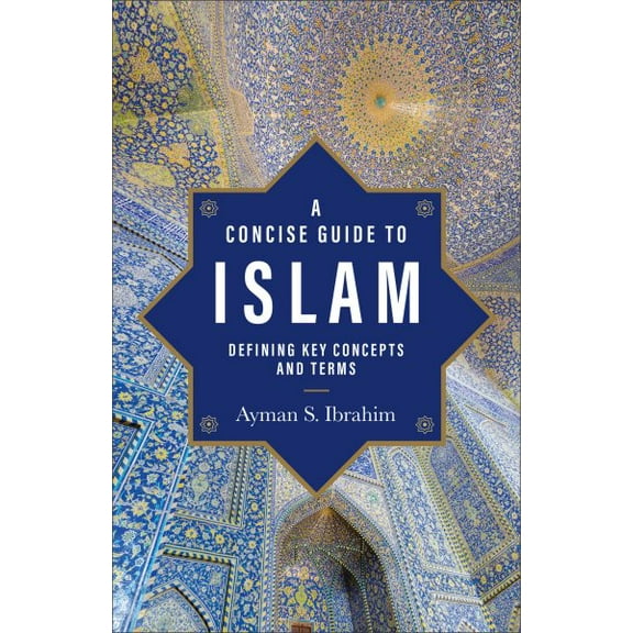 Introducing Islam: Concise Guide to Islam (Hardcover)