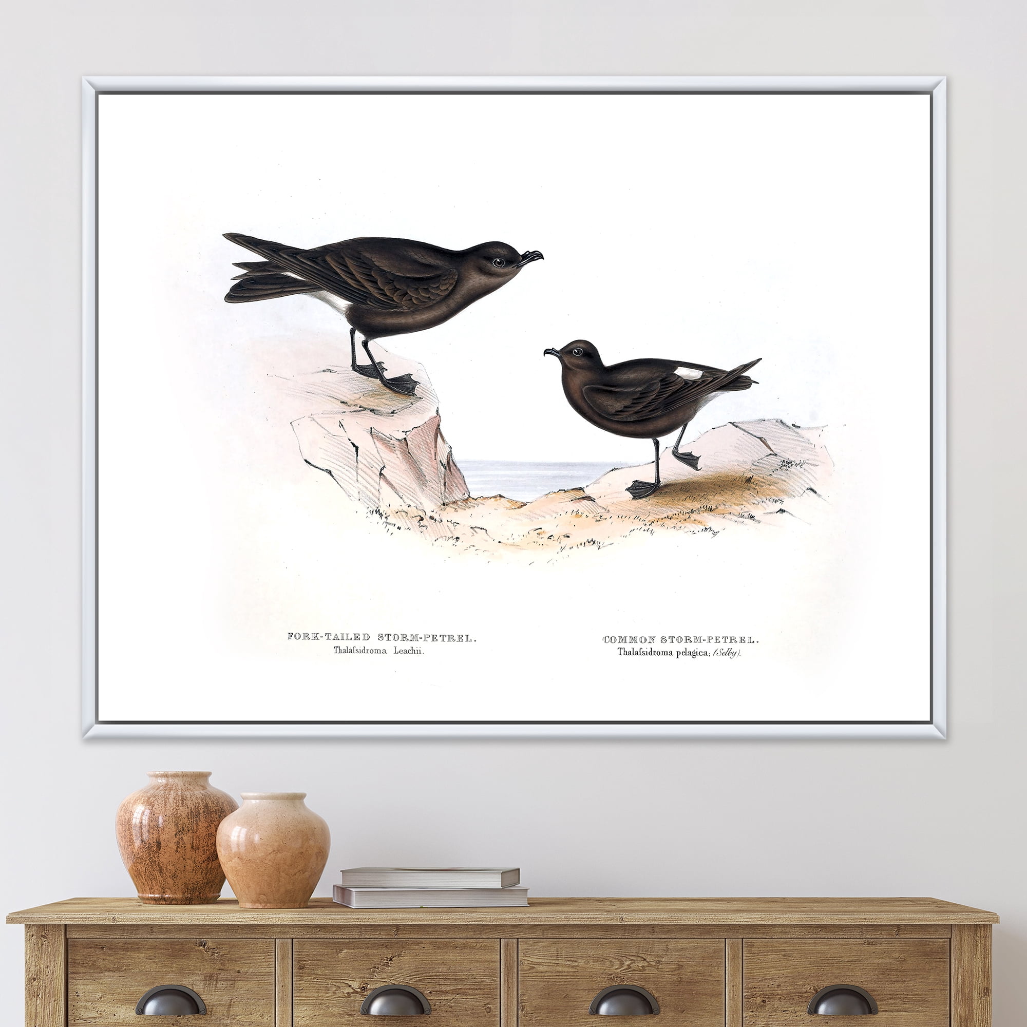 Designart 'Ancient Bird Of Europe III' Traditional Framed Canvas Wall Art Print
