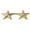 Gold, variant on Hero’s Pride 5-Point Star Pins – Pair, 5/8", Silver Finish, 2 Posts & Clutch Backs