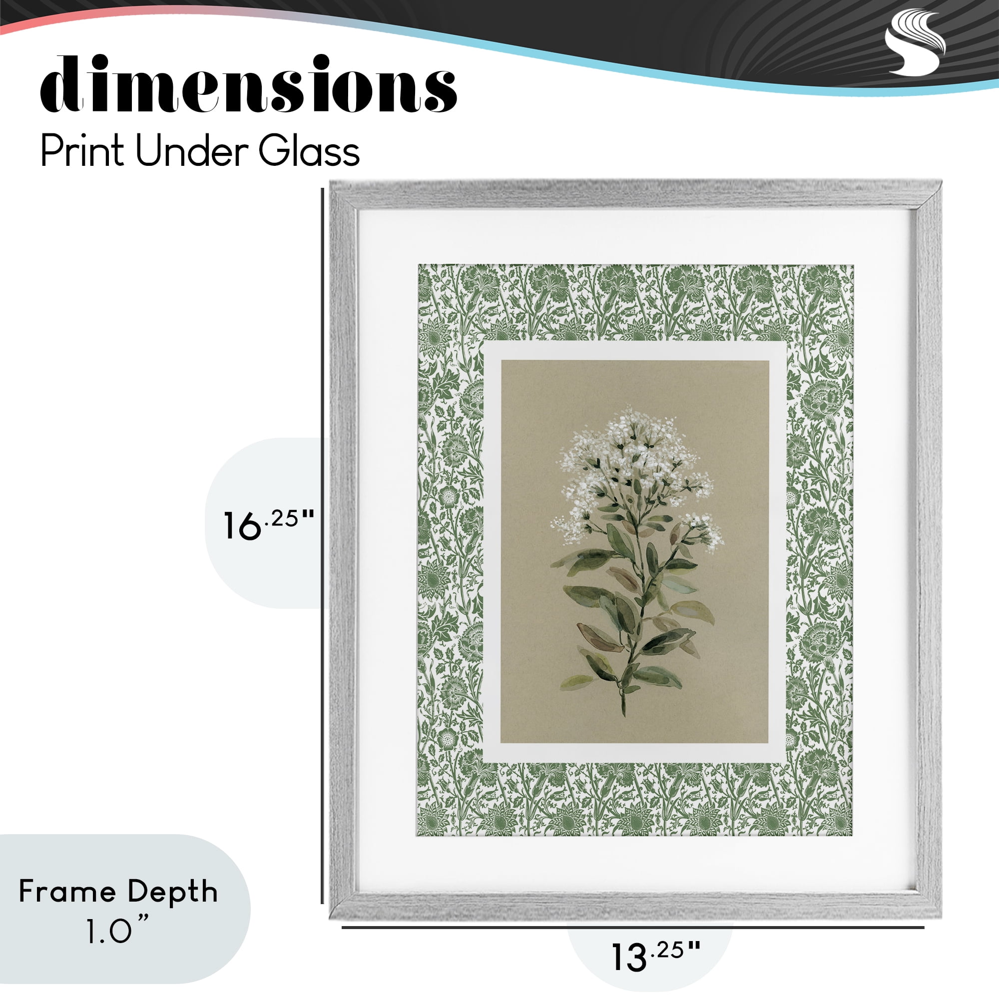 Stupell Industries Plant on Green Botanicals Gray Framed Print Under Glass, design by Carol Robinson