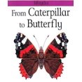 thumbnail image 1 of From Caterpillar to Butterfly, 1 of 1