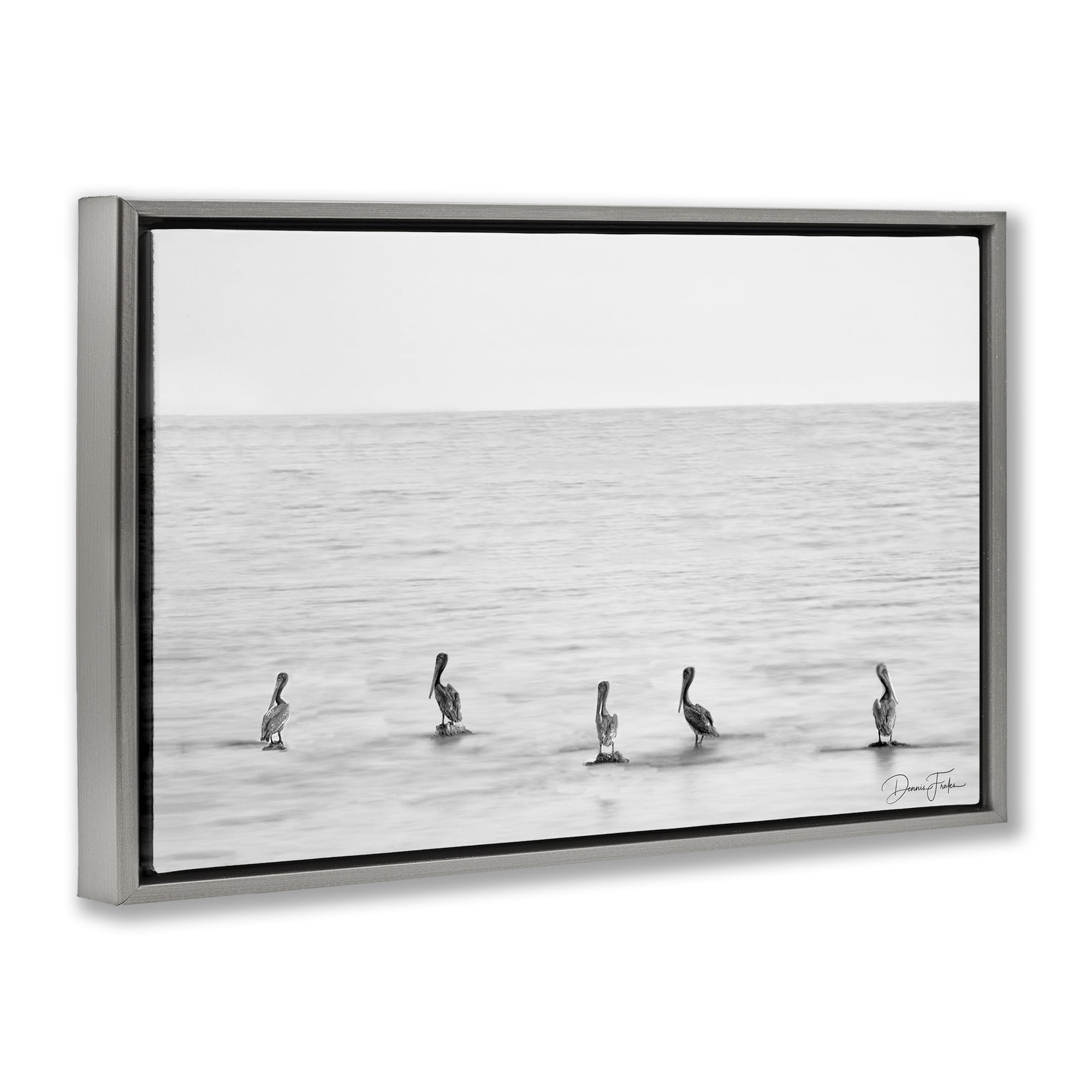Stupell Industries Pelicans on Shore Landscape Photography Gray Floater Framed Canvas Art Print Wall Art, 31 x 21
