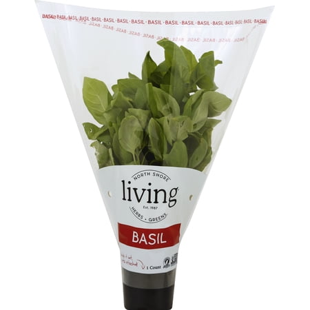 North Shore Living Herbs Basil