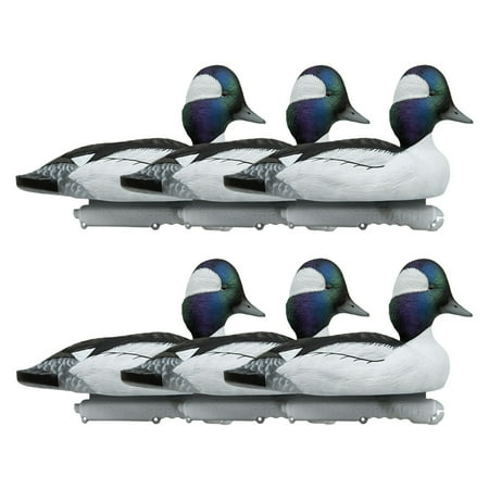 Final Approach Live Bufflehead Floating Duck Decoys 6 Pack