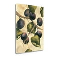 thumbnail image 2 of Tangletown Fine Art 'Italian Harvest - Figs' by Doris Allison Painting Print on Wrapped Canvas, 2 of 2