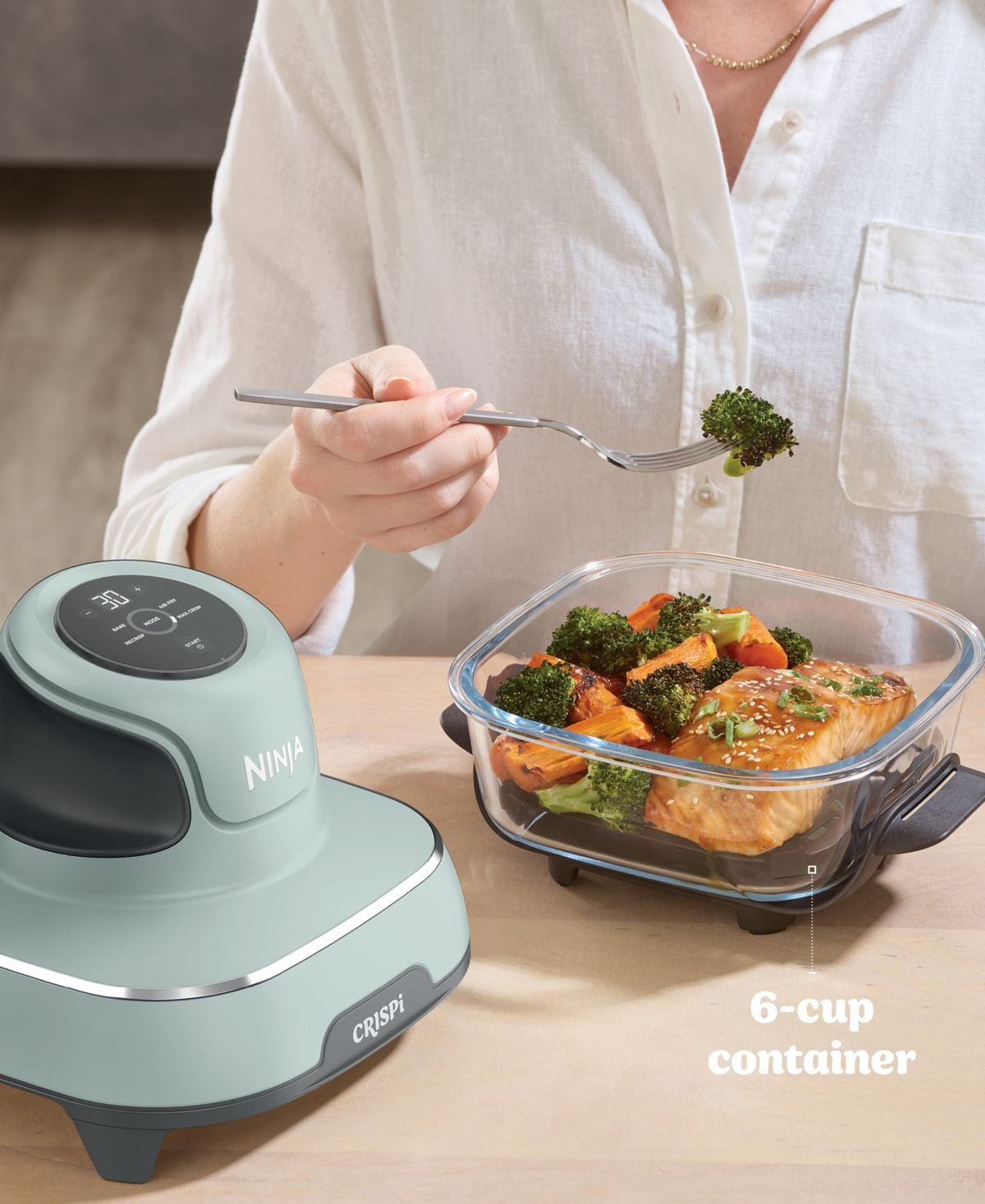 4 - in - 1 Portable Glass Air Fryer Cooking System