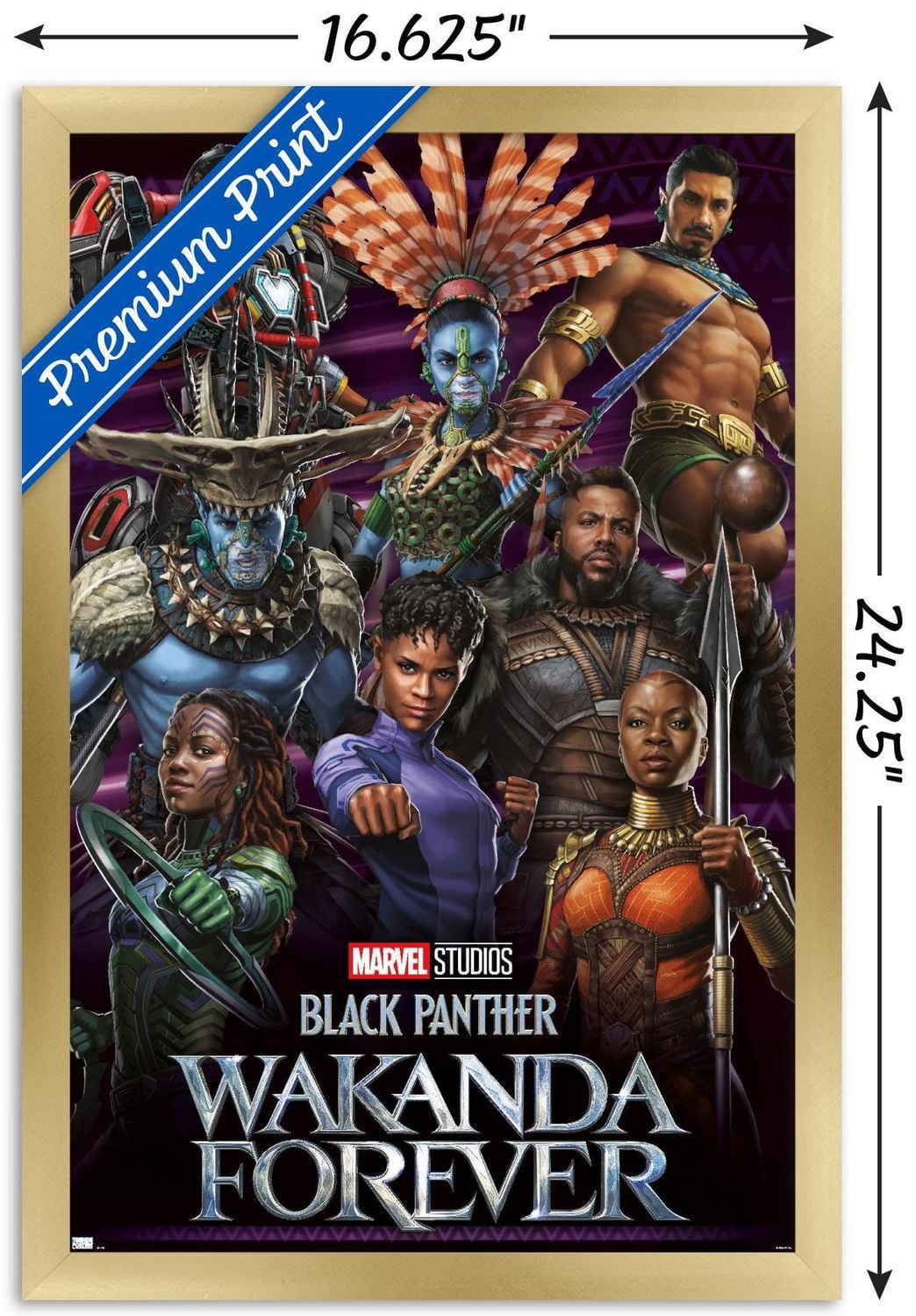 Marvel Black Panther: Wakanda Forever - Group Wall Poster, 22.375" x 34"