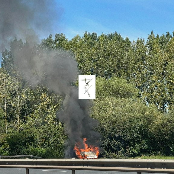 Eden - Dark - Music & Performance - Vinyl