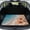 Beach Starfish Shell, variant on FOR U DESIGNS Ghost Pumpkin Daisy Leaves Print Trunk Cargo Liner for Camping Hiking Non-Slip Car Trunk Mat Halloween Decoration All Weather Durable Rear Protection for SUVs Truck Van Sedan