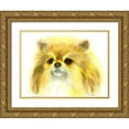 thumbnail image 1 of Shefranov, Olga 24x19 Gold Ornate Wood Framed with Double Matting Museum Art Print Titled - Pomeranian, 1 of 4